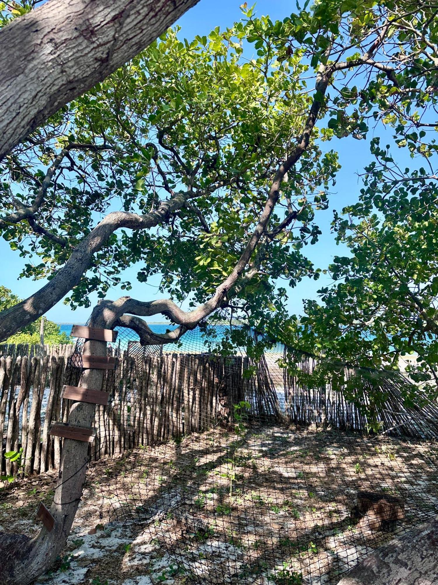 Casas Sabiá Vila Jijoca de Jericoacoara Exterior foto